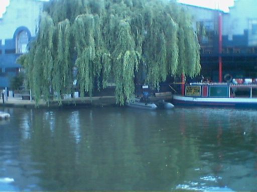 44LD0007.jpg